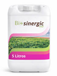 produto-bi-sinergic-vital