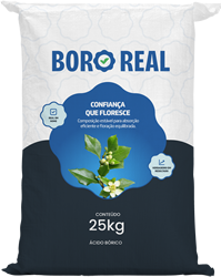 produto-bororeal